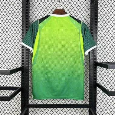2026 Nigeria Home Kit World Cup Cheap Football Jersey Wholesale Yupoo