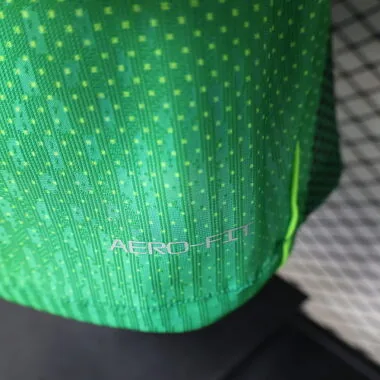 2026 Player Nigeria Home Kit World Cup Cheap Football Jersey Wholesale Yupoo