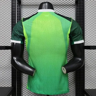 2026 Player Nigeria Home Kit World Cup Cheap Football Jersey Wholesale Yupoo