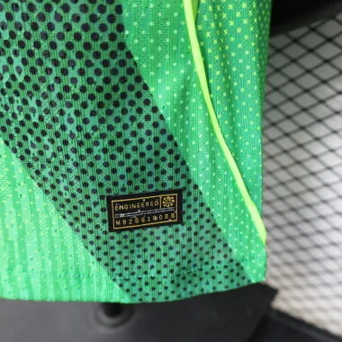 2026 Player Nigeria Home Kit World Cup Cheap Football Jersey Wholesale Yupoo