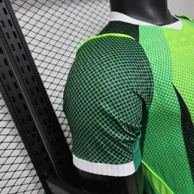 2026 Player Nigeria Home Kit World Cup Cheap Football Jersey Wholesale Yupoo