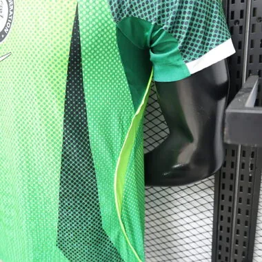 2026 Player Nigeria Home Kit World Cup Cheap Football Jersey Wholesale Yupoo