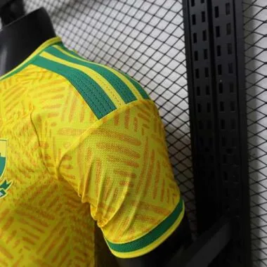 2026 Player South Africa Home Kit S-3XL World Cup Cheap Football Jersey Wholesale Yupoo