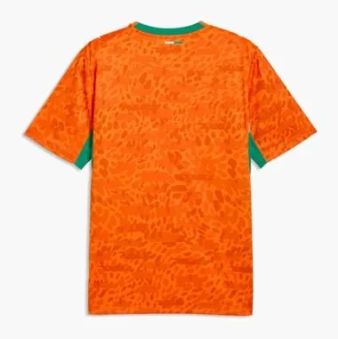 2026 Ivory Coast Home Kit S-4XL World Cup Cheap Football Jersey Wholesale Yupoo
