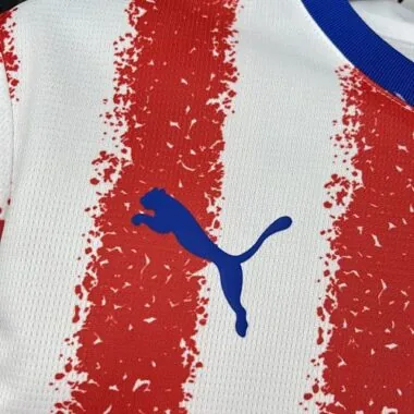 2026 Paraguay Home Kit S-4XL World Cup Cheap Football Jersey Wholesale Yupoo