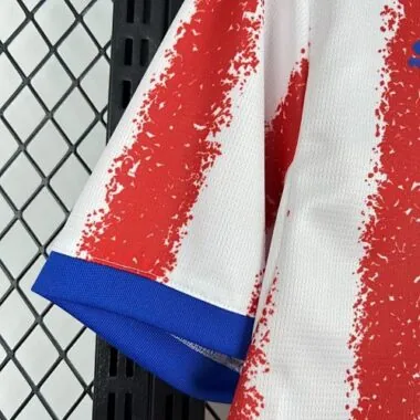 2026 Paraguay Home Kit S-4XL World Cup Cheap Football Jersey Wholesale Yupoo
