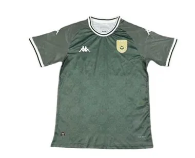 2026 Tunisia Green Special Edition Kit World Cup Cheap Football Jersey Wholesale Yupoo