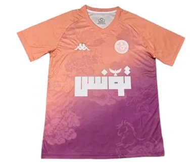 2026 Tunisia Training Kit World Cup Cheap Football Jersey Wholesale Yupoo