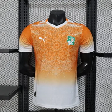 2026 Players Ivory Coast Pre-Match Kit World Cup Cheap Football Jersey Wholesale Yupoo