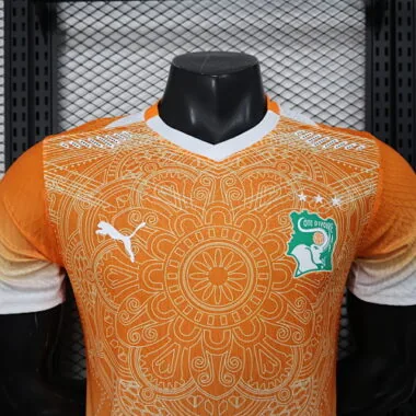 2026 Players Ivory Coast Pre-Match Kit World Cup Cheap Football Jersey Wholesale Yupoo