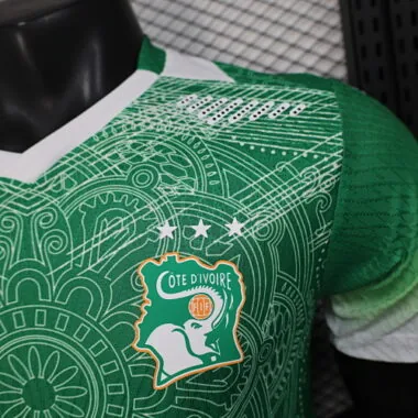 2026 Players Ivory Coast Pre-Match Kit World Cup Cheap Football Jersey Wholesale Yupoo
