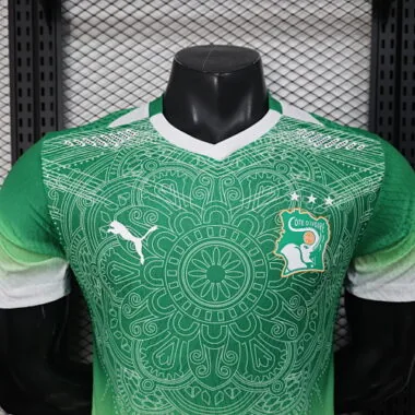 2026 Players Ivory Coast Pre-Match Kit World Cup Cheap Football Jersey Wholesale Yupoo