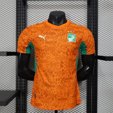 2026 Players Ivory Coast Home Kit World Cup Cheap Football Jersey Wholesale Yupoo
