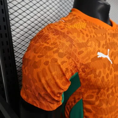 2026 Players Ivory Coast Home Kit World Cup Cheap Football Jersey Wholesale Yupoo