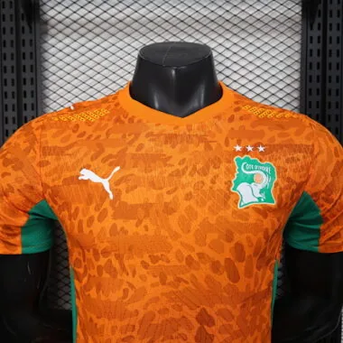 2026 Players Ivory Coast Home Kit World Cup Cheap Football Jersey Wholesale Yupoo