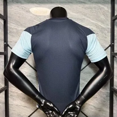 2026 Player Argentina Training Kit World Cup Cheap Football Jersey Wholesale Yupoo