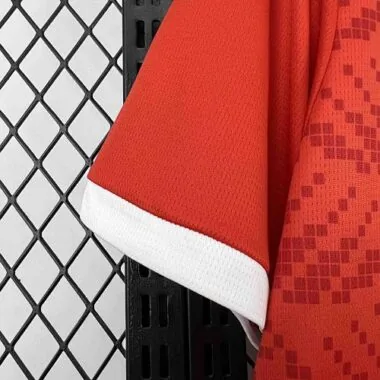 Equipación local de Túnez para el Mundial de 2026. Camisetas de fútbol baratas al por mayor en Yupoo