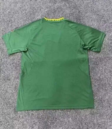25-26 South Africa Home Kit World Cup Cheap Football Jersey Wholesale Yupoo