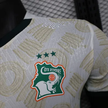 24-25 Players Ivory Coast Away Kit World Cup Cheap Football Jersey Wholesale Yupoo