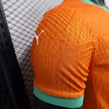 24-25 Players Ivory Coast Home Kit World Cup Cheap Football Jersey Wholesale Yupoo
