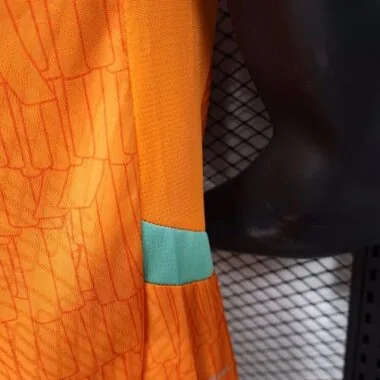 24-25 Players Ivory Coast Home Kit World Cup Cheap Football Jersey Wholesale Yupoo