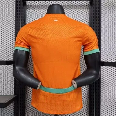 24-25 Players Ivory Coast Home Kit World Cup Cheap Football Jersey Wholesale Yupoo