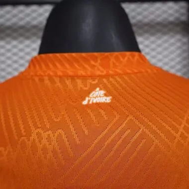24-25 Players Ivory Coast Home Kit World Cup Cheap Football Jersey Wholesale Yupoo