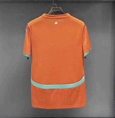 24-25 Ivory Coast Home Kit S-4XL World Cup Cheap Football Jersey Wholesale Yupoo