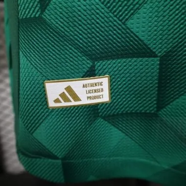 2024 Player Saudi Arabia Home Kit World Cup Cheap Football Jersey Wholesale Yupoo