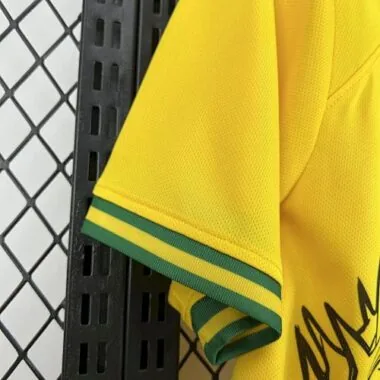 2026 Brazil Special Edition Kit World Cup Cheap Football Jersey Wholesale Yupoo