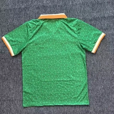 2025 Ireland Commemorative Special Edition Kit S-4XL Cheap Football Jersey Wholesale Yupoo