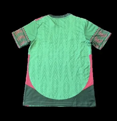 2026 Mexico Special Edition Kit World Cup Cheap Football Jersey Wholesale Yupoo