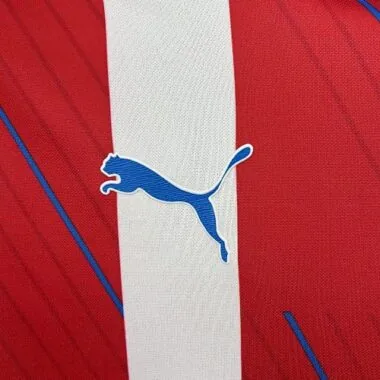 2024 Paraguay Home Kit Cheap Football Jersey Wholesale Yupoo