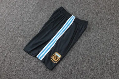 2025 Argentina Training Kits Tracksuits Cheap Football Jersey Wholesale Yupoo