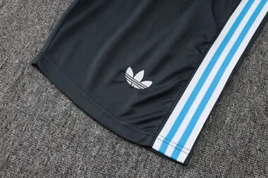 2025 Argentina Training Kits Tracksuits Cheap Football Jersey Wholesale Yupoo