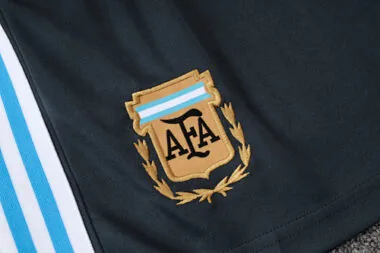 2025 Argentina Training Kits Tracksuits Cheap Football Jersey Wholesale Yupoo