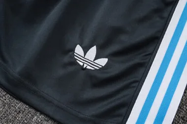 2025 Argentina Training Kits Tracksuits Cheap Football Jersey Wholesale Yupoo