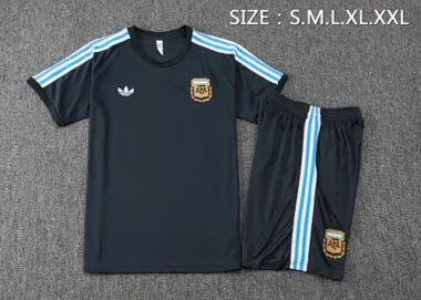 2025 Argentina Training Kits Tracksuits Cheap Football Jersey Wholesale Yupoo