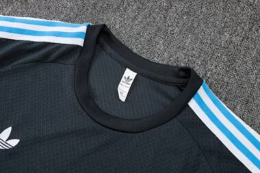 2025 Argentina Training Kits Tracksuits Cheap Football Jersey Wholesale Yupoo