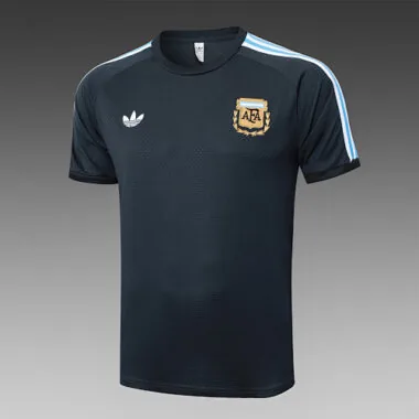 2025 Argentina Training Kits Tracksuits Cheap Football Jersey Wholesale Yupoo