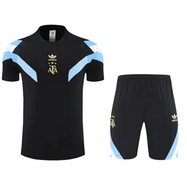 2025 Argentina Training Kits Football Tracksuits Cheap Football Jersey Wholesale Yupoo