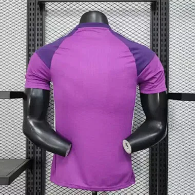 2025 Player Argentina Purple Goalkeeper Kit S-XXL Cheap Football Jersey Wholesale Yupoo