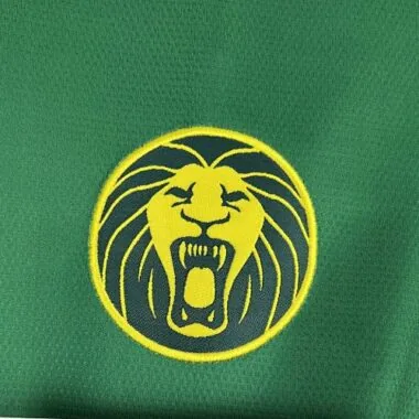 2025 Cameroon Home Kit S-4XL Cheap Football Jersey Wholesale Yupoo