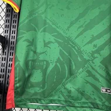 2025 Cameroon Home Kit S-4XL Cheap Football Jersey Wholesale Yupoo