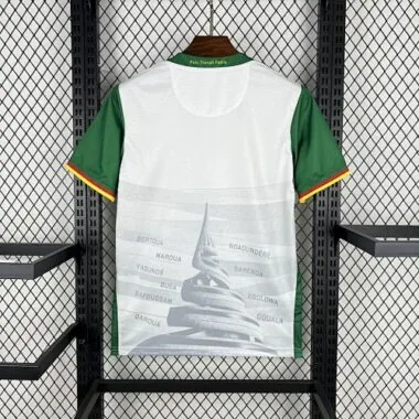 Maillot de football 2025 du Cameroun (troisième tenue d'extérieur), tailles S à XL, pas cher, vente en gros sur Yupoo