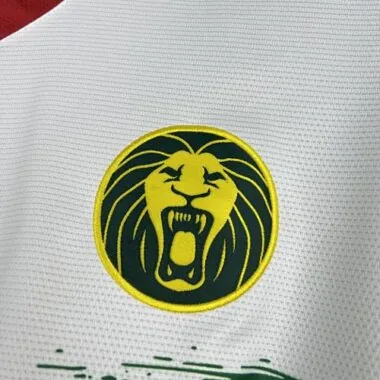 Maillot de football 2025 du Cameroun (troisième tenue d'extérieur), tailles S à XL, pas cher, vente en gros sur Yupoo
