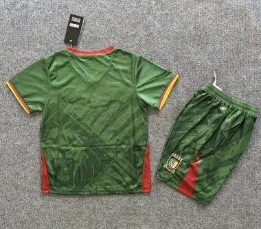 2025 Kids Cameroon Home Kit Cheap Football Jersey Wholesale Yupoo