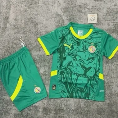 2025 Kids Senegal Away Kit Cheap Football Jersey Wholesale Yupoo