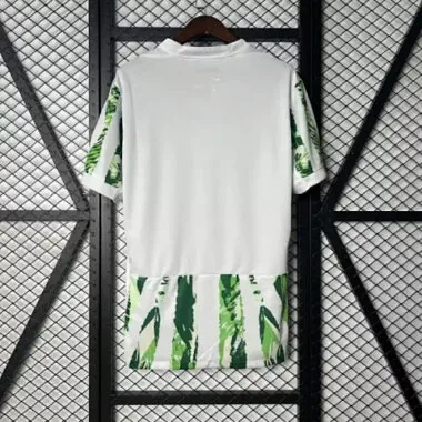 2025 Nigeria Home Kit S-4XL Cheap Soccer Jerseys Wholesale Yupoo