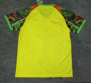 2025 Brazil Special Edition Kit Cheap Soccer Jerseys Yupoo